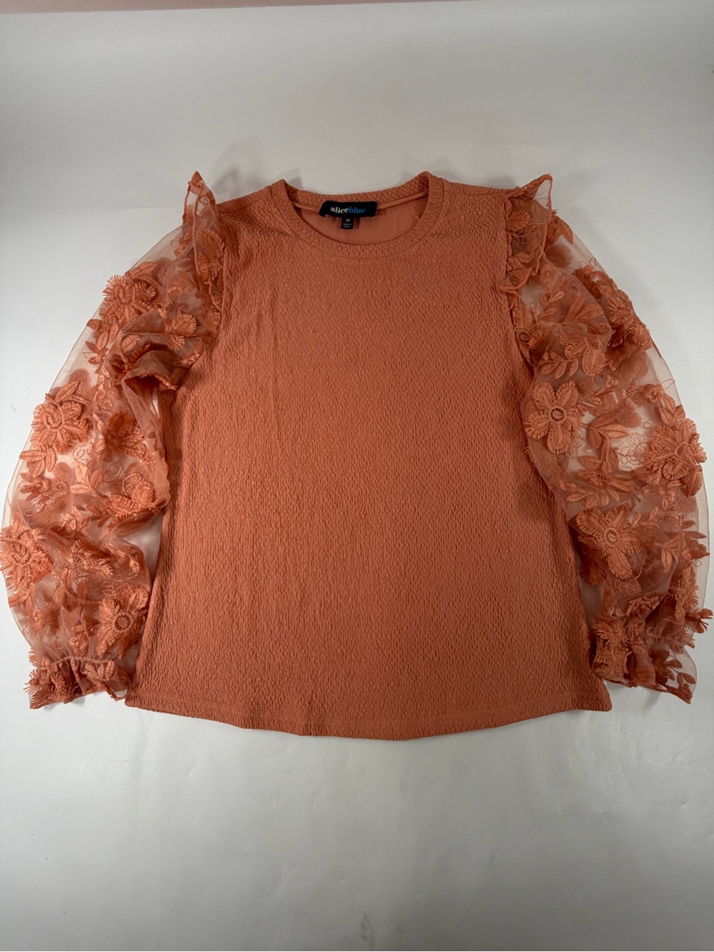 Alice Blue Cottagecore Embroidered Mesh Balloon Sleeve Blouse Rust Boho Top M
